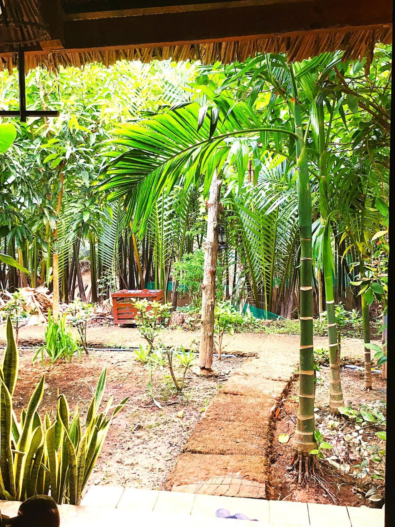 Ben Tre Farm Stay Exteriör bild
