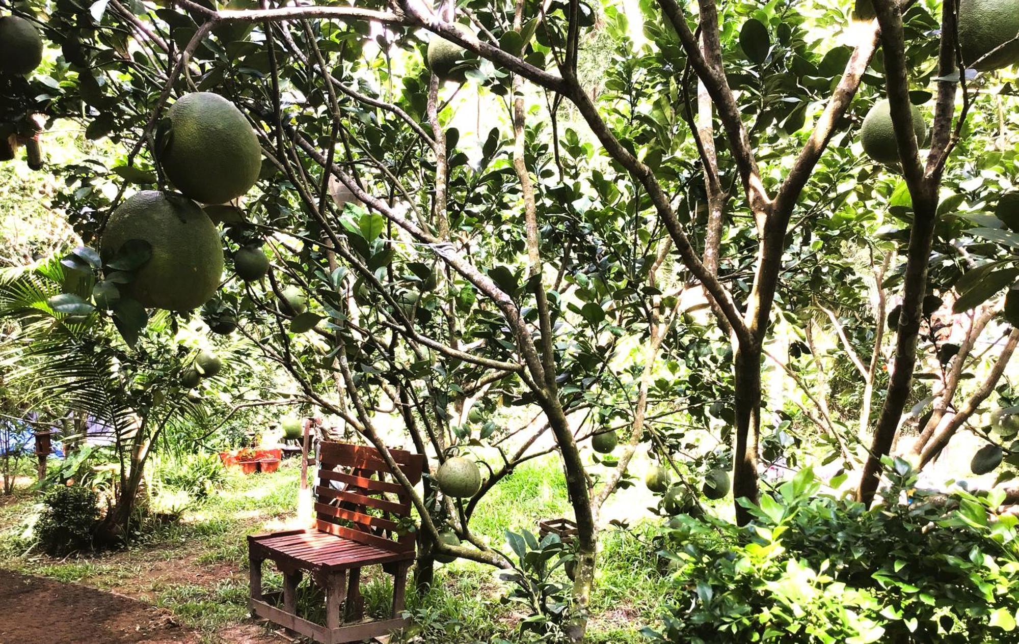 Ben Tre Farm Stay Exteriör bild