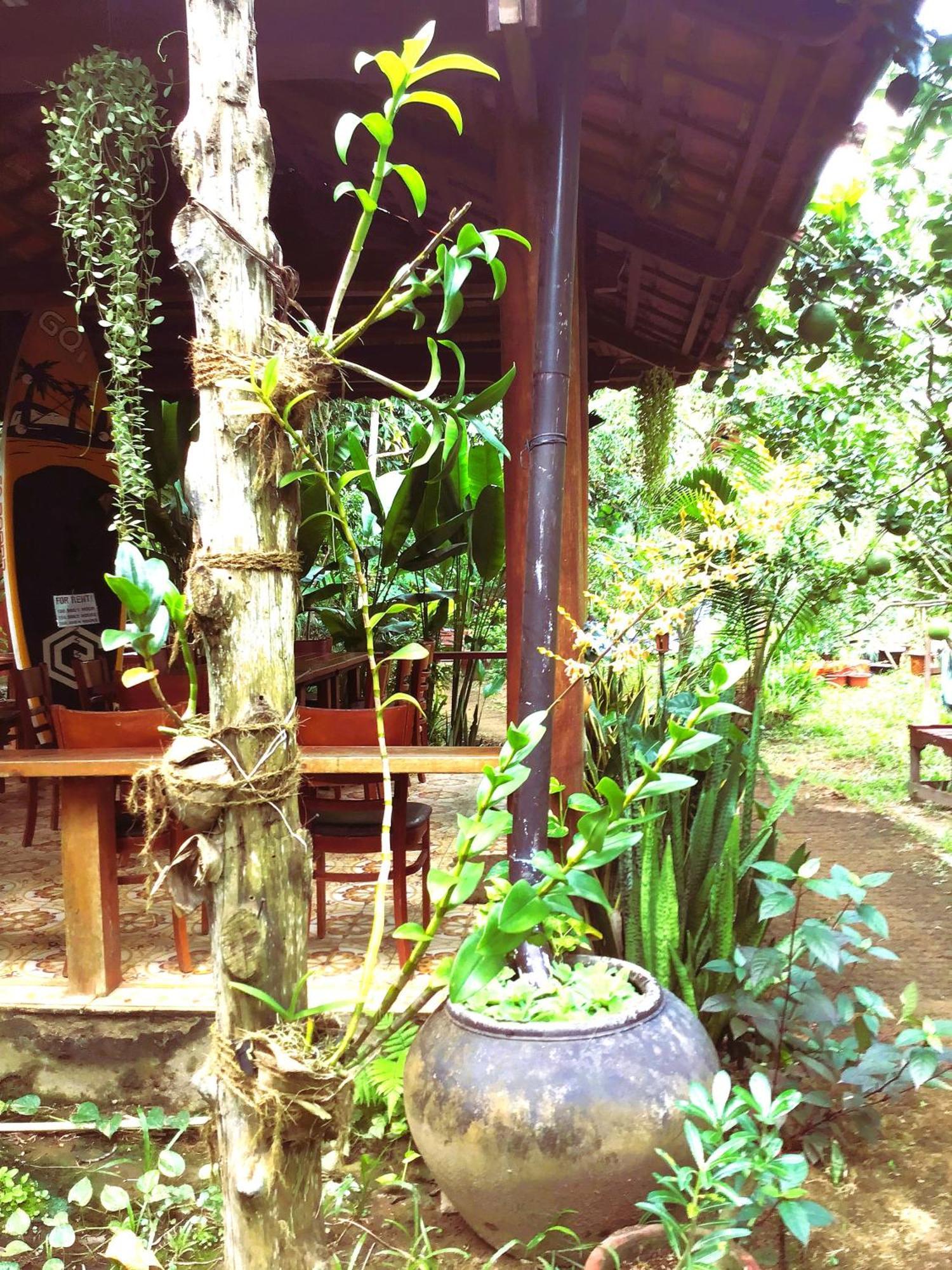 Ben Tre Farm Stay Exteriör bild