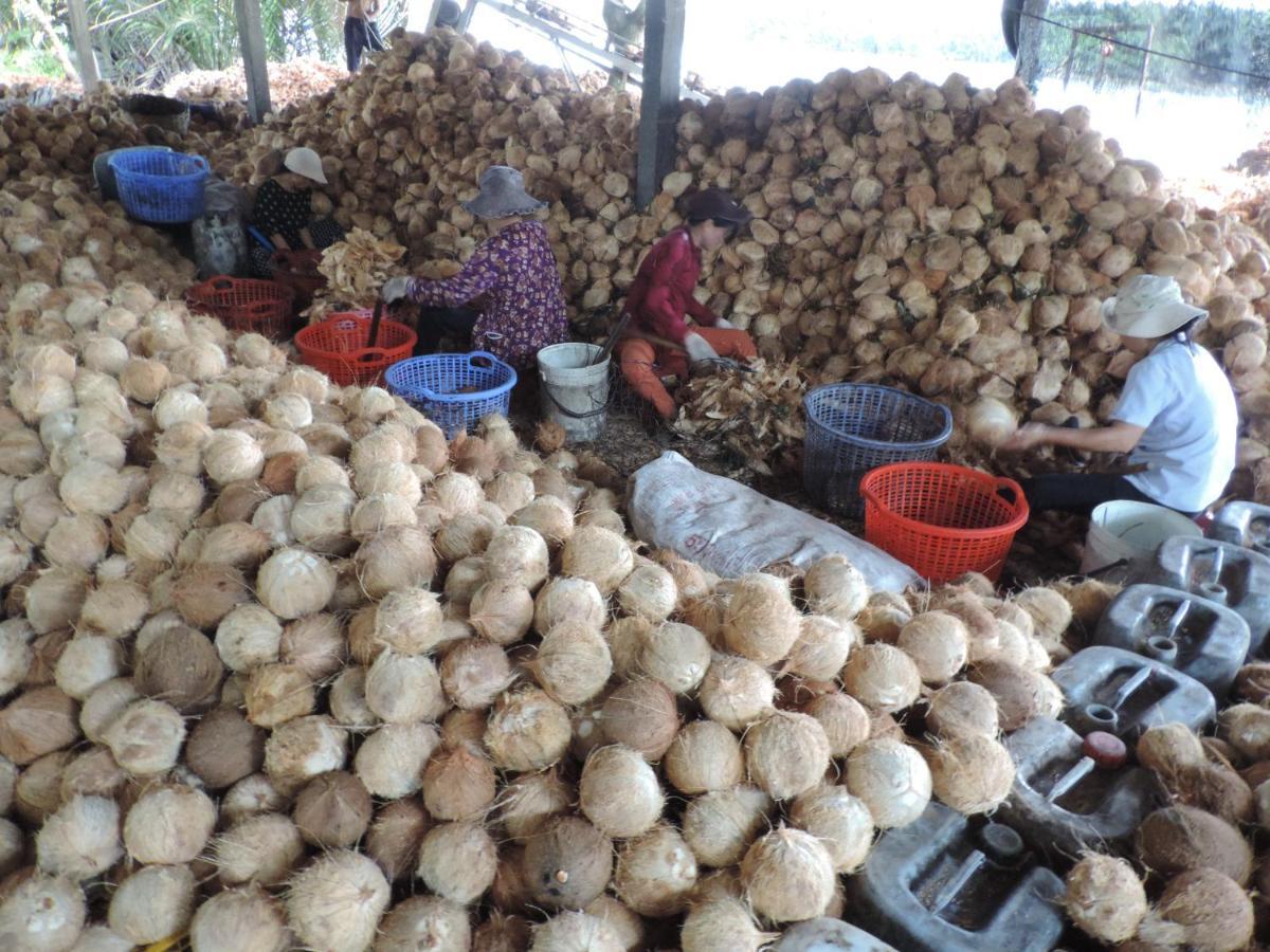 Ben Tre Farm Stay Exteriör bild